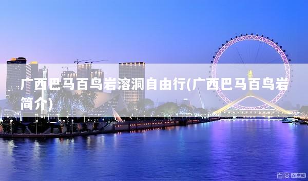 广西巴马百鸟岩溶洞自由行(广西巴马百鸟岩简介)