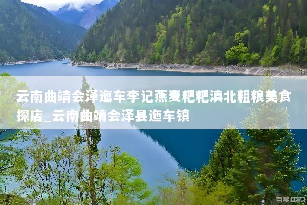 云南曲靖会泽迤车李记燕麦粑粑滇北粗粮美食探店_云南曲靖会泽县迤车镇