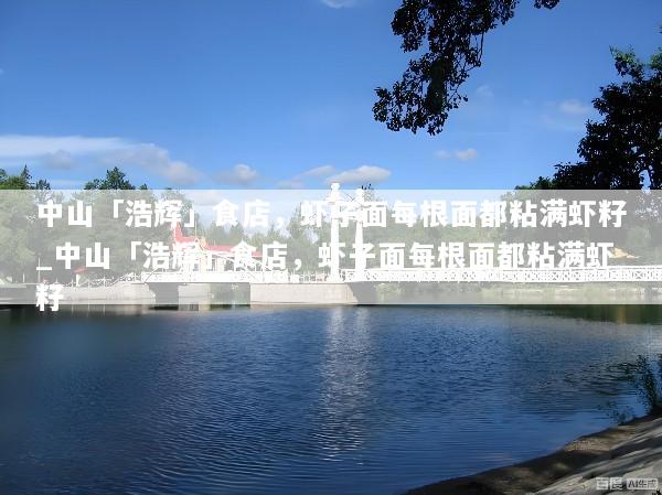 中山「浩辉」食店，虾子面每根面都粘满虾籽_中山「浩辉」食店，虾子面每根面都粘满虾籽