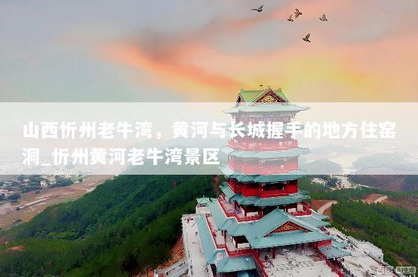 山西忻州老牛湾，黄河与长城握手的地方住窑洞_忻州黄河老牛湾景区