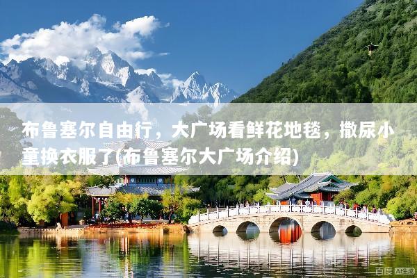 布鲁塞尔自由行，大广场看鲜花地毯，撒尿小童换衣服了(布鲁塞尔大广场介绍)