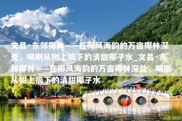 文昌·东郊椰林——在椰风海韵的万亩椰林深处，喝刚从树上摘下的清甜椰子水_文昌·东郊椰林——在椰风海韵的万亩椰林深处，喝刚从树上摘下的清甜椰子水