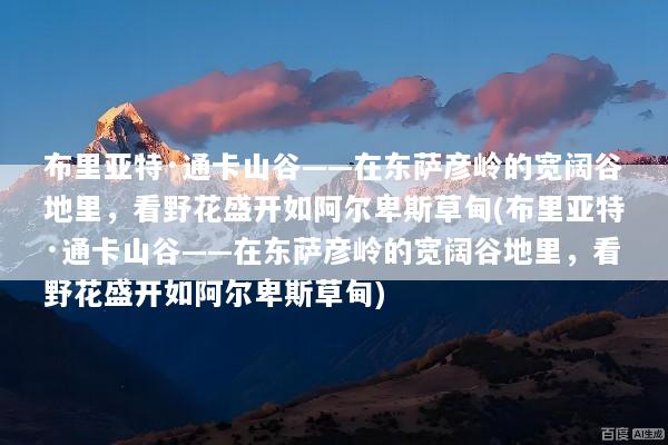 布里亚特·通卡山谷——在东萨彦岭的宽阔谷地里，看野花盛开如阿尔卑斯草甸(布里亚特·通卡山谷——在东萨彦岭的宽阔谷地里，看野花盛开如阿尔卑斯草甸)
