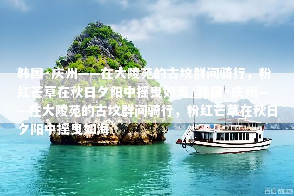 韩国·庆州——在大陵苑的古坟群间骑行，粉红芒草在秋日夕阳中摇曳如海_韩国·庆州——在大陵苑的古坟群间骑行，粉红芒草在秋日夕阳中摇曳如海