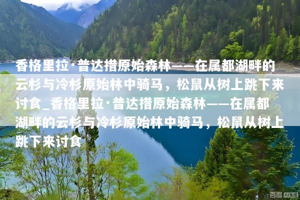 香格里拉·普达措原始森林——在属都湖畔的云杉与冷杉原始林中骑马，松鼠从树上跳下来讨食_香格里拉·普达措原始森林——在属都湖畔的云杉与冷杉原始林中骑马，松鼠从树上跳下来讨食