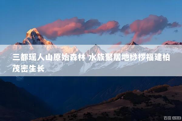 三都瑶人山原始森林 水族聚居地桫椤福建柏茂密生长