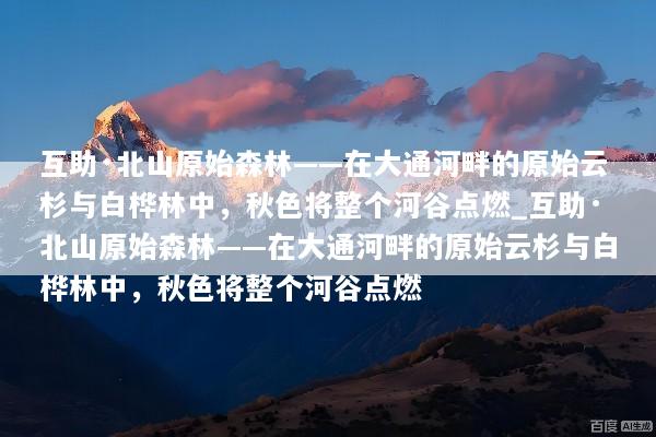 互助·北山原始森林——在大通河畔的原始云杉与白桦林中，秋色将整个河谷点燃_互助·北山原始森林——在大通河畔的原始云杉与白桦林中，秋色将整个河谷点燃