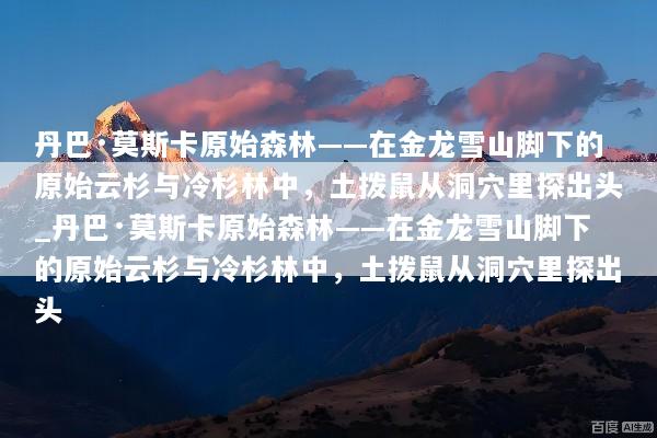 丹巴·莫斯卡原始森林——在金龙雪山脚下的原始云杉与冷杉林中，土拨鼠从洞穴里探出头_丹巴·莫斯卡原始森林——在金龙雪山脚下的原始云杉与冷杉林中，土拨鼠从洞穴里探出头
