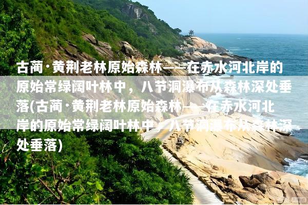 古蔺·黄荆老林原始森林——在赤水河北岸的原始常绿阔叶林中，八节洞瀑布从森林深处垂落(古蔺·黄荆老林原始森林——在赤水河北岸的原始常绿阔叶林中，八节洞瀑布从森林深处垂落)