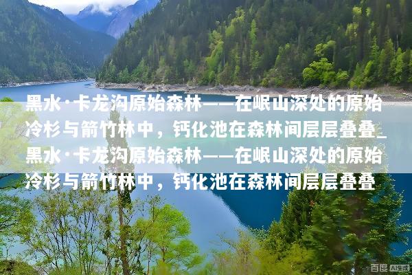 黑水·卡龙沟原始森林——在岷山深处的原始冷杉与箭竹林中，钙化池在森林间层层叠叠_黑水·卡龙沟原始森林——在岷山深处的原始冷杉与箭竹林中，钙化池在森林间层层叠叠