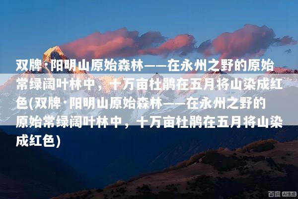 双牌·阳明山原始森林——在永州之野的原始常绿阔叶林中，十万亩杜鹃在五月将山染成红色(双牌·阳明山原始森林——在永州之野的原始常绿阔叶林中，十万亩杜鹃在五月将山染成红色)