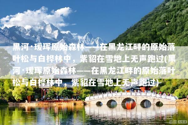 黑河·瑷珲原始森林——在黑龙江畔的原始落叶松与白桦林中，紫貂在雪地上无声跑过(黑河·瑷珲原始森林——在黑龙江畔的原始落叶松与白桦林中，紫貂在雪地上无声跑过)