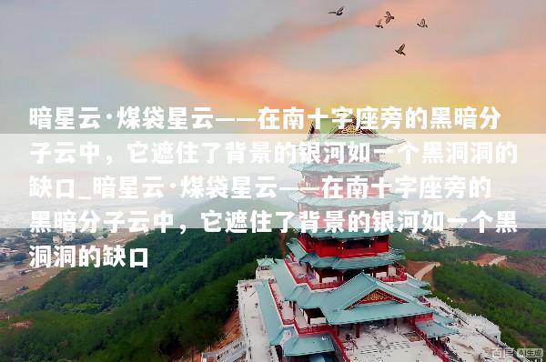 暗星云·煤袋星云——在南十字座旁的黑暗分子云中，它遮住了背景的银河如一个黑洞洞的缺口_暗星云·煤袋星云——在南十字座旁的黑暗分子云中，它遮住了背景的银河如一个黑洞洞的缺口