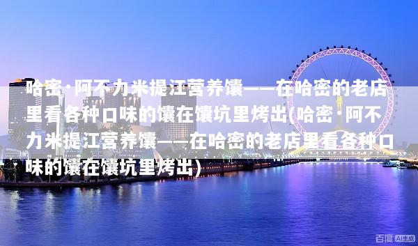 哈密·阿不力米提江营养馕——在哈密的老店里看各种口味的馕在馕坑里烤出(哈密·阿不力米提江营养馕——在哈密的老店里看各种口味的馕在馕坑里烤出)