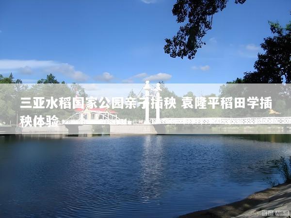 三亚水稻国家公园亲子插秧 袁隆平稻田学插秧体验